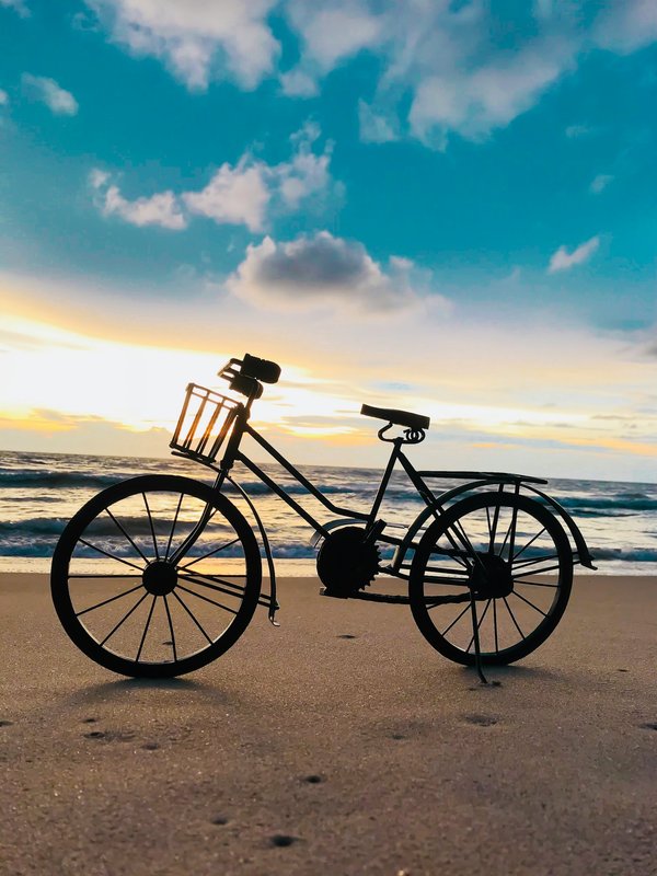 L'histoire du vélo : de l'invention aux modèles actuels