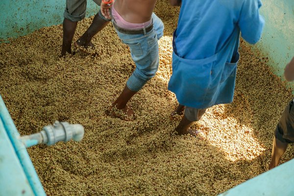 Centres vhu : la solution idéale pour vos véhicules hors d'usage